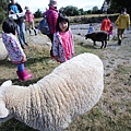 IMG_3076.JPG