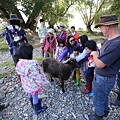 IMG_3034.JPG