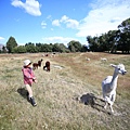 IMG_3170.JPG