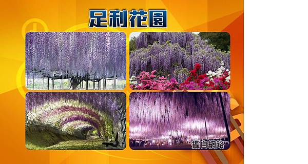 足利花園.jpg 足利花園.jpg
