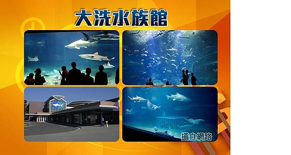 大洗水族館.jpg