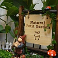 20090903_202037-Natural petit garden.JPG