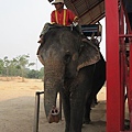 IMG_1460.JPG