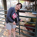 IMG_1510.JPG