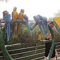 IMG_1511.JPG