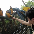 IMG_1512.JPG