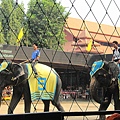 IMG_1527.JPG