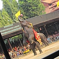 IMG_1529.JPG