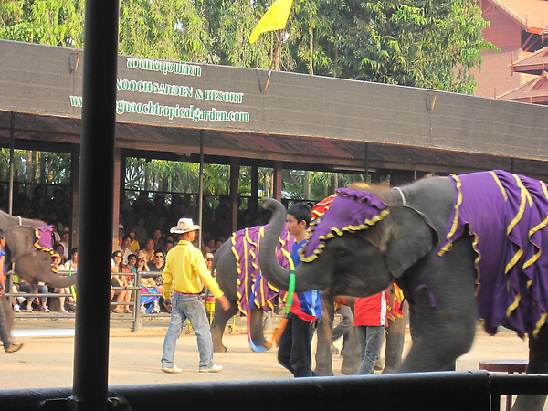IMG_1535.JPG