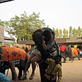 IMG_1539.JPG