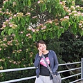 IMG_1559.JPG