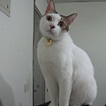 IMG_1948.JPG