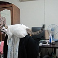 IMG_1924.JPG