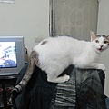 IMG_1927.JPG