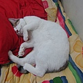 IMG_2025.JPG
