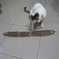 IMG_2039.JPG