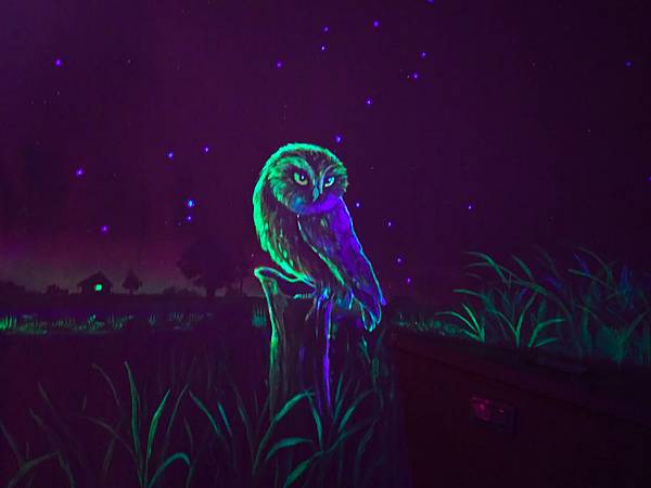 在蘋果屋裡晚上可以看到精采的螢光彩繪-貓頭鷹。.jpg