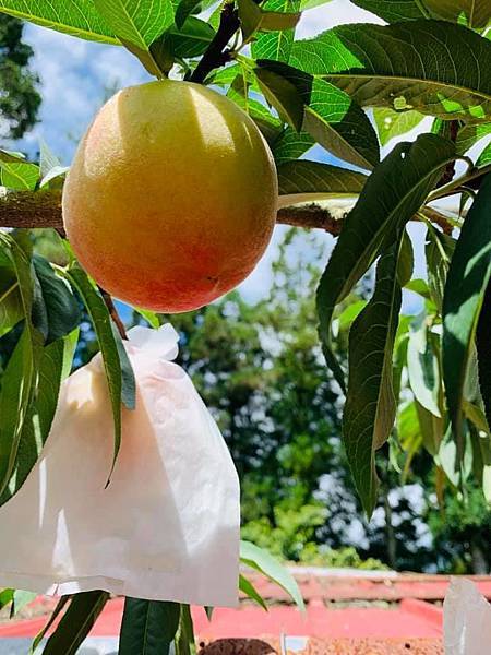 66361401_478601986229553_476451639952146432_n.jpg 66361401_478601986229553_476451639952146432_n.jpg