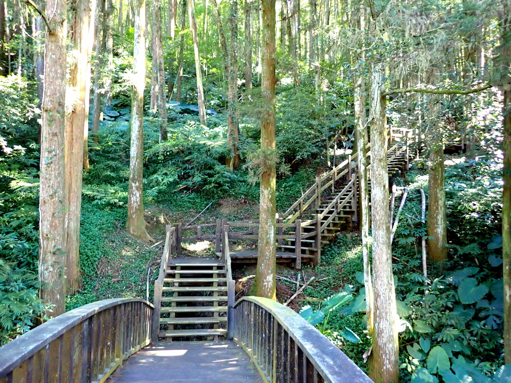 奮起湖木馬棧道