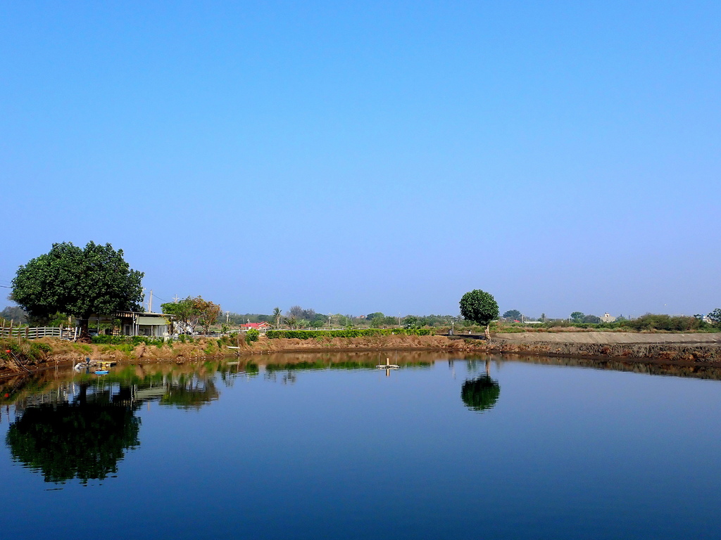 台江水岸綠道+鹽水溪畔堤頂自行道 20250427