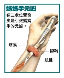 媽媽手.jpg 媽媽手.jpg