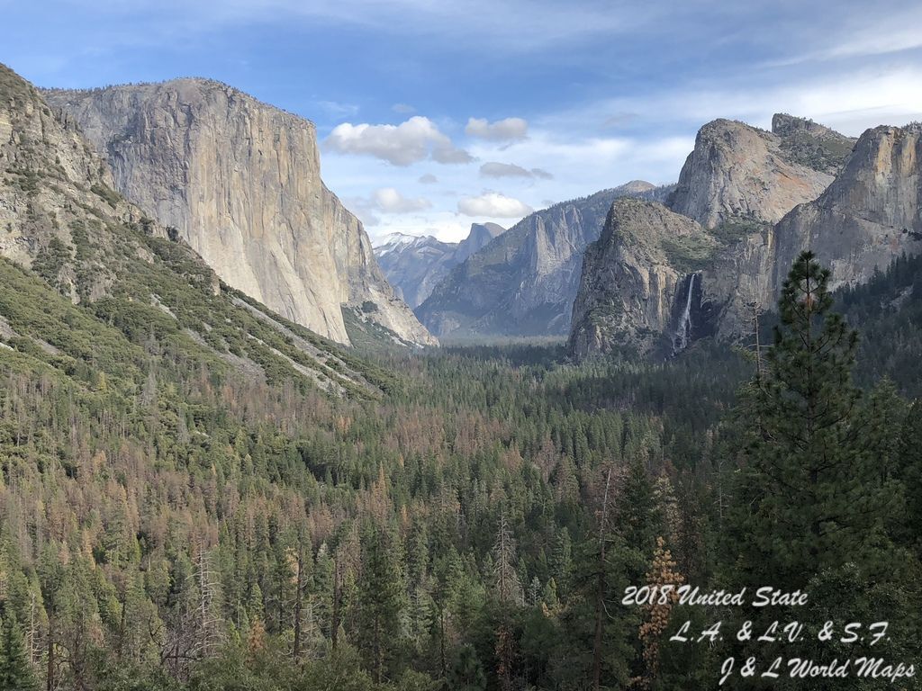 IMG_1736.JPEG IMG_1736.JPEG