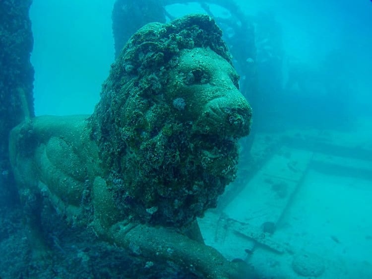 Neptune_memorial_reef_lion.jpg