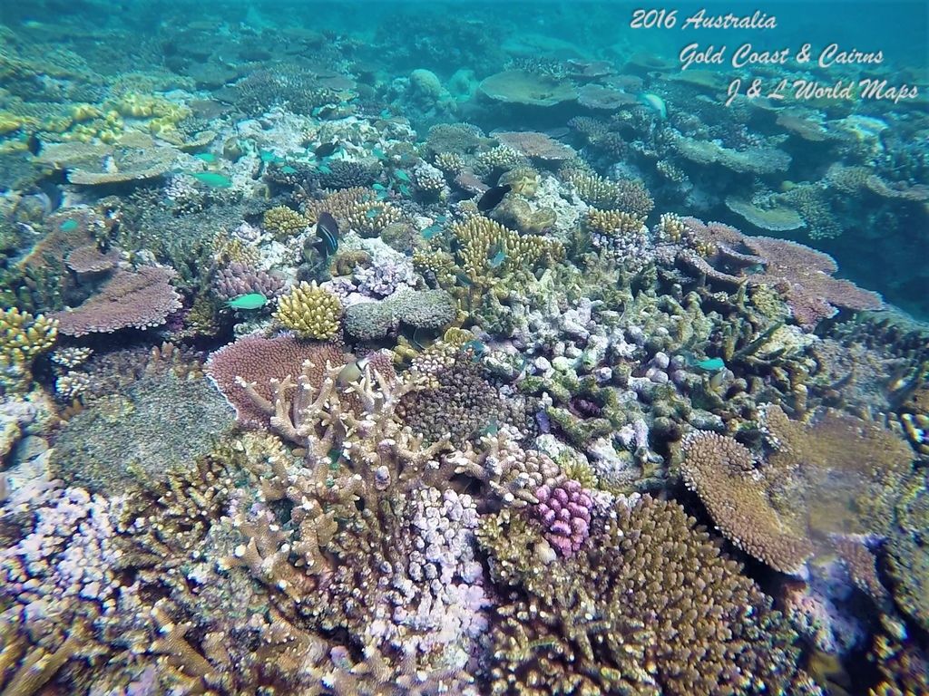 GP010160_Moment-7-1.jpg GP010160_Moment-7-1.jpg