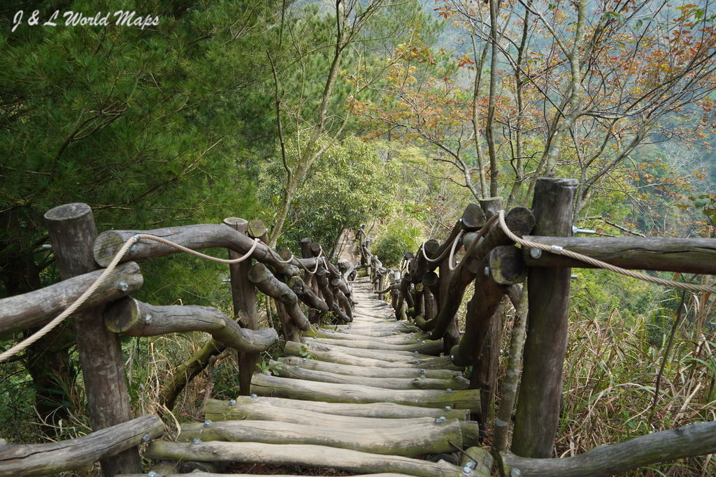 DSC01366.JPG DSC01366.JPG