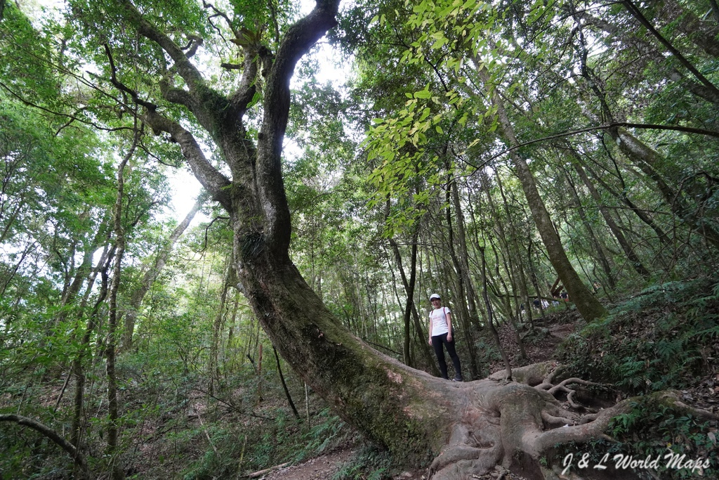 DSC06600-1.jpg DSC06600-1.jpg