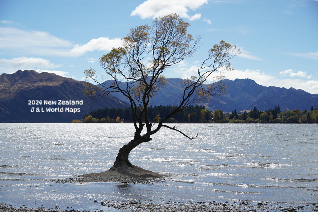 ［2024 紐西蘭］瓦納卡附近親子景點：湖中孤樹、Puzzl