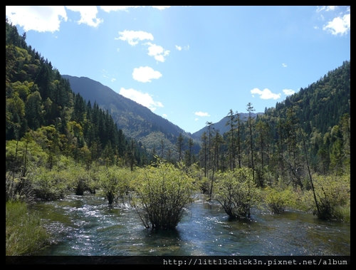 20101008_125650_SiChuanJiuZhaiGou