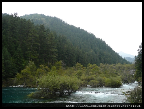 20101009_162420_SiChuanJiuZhaiGou