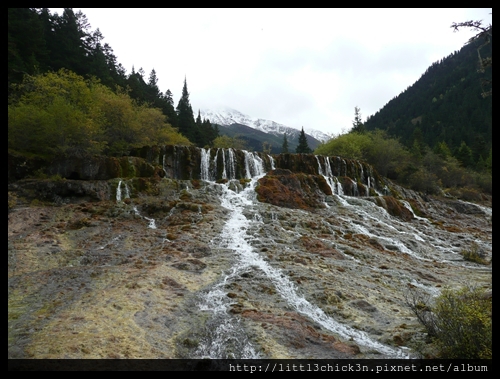 20101010_141116_SiChuanHuangLong