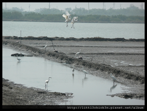 20101017_105630_TaiwanTainan