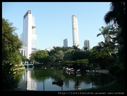 20101028_152516_HongKongKowloonPark.JPG