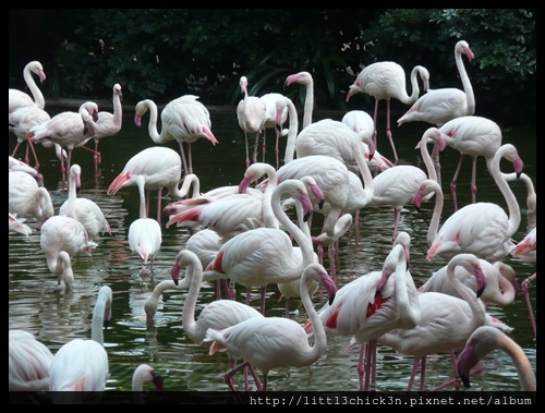 20101028_153005_HongKongKowloonPark.JPG