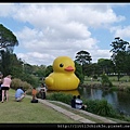 20140112_094545_RubberDuckParramattaPark.JPG