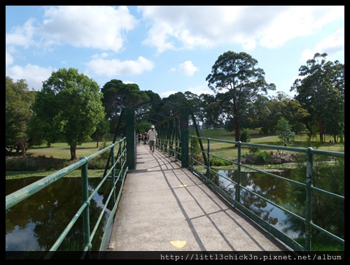 20140112_094932_RubberDuckParramattaPark.JPG