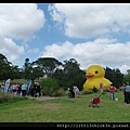 20140112_100409_RubberDuckParramattaPark.JPG