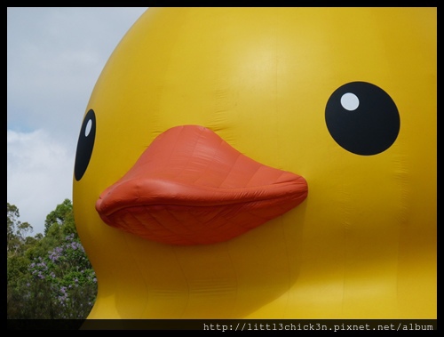 20140112_100809_RubberDuckParramattaPark.JPG