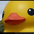 20140112_100809_RubberDuckParramattaPark.JPG