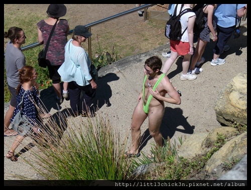 20141108_134210_BondiBeachSculptureByTheSea2014.JPG