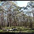 20140419_161135_JenolanCaves-BlackRange.JPG