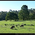 20140419_164505_JenolanCaves-BlackRange.JPG