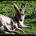 20140419_164653_JenolanCaves-BlackRange.JPG