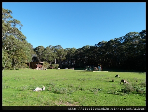 20140419_165947_JenolanCaves-BlackRange.JPG