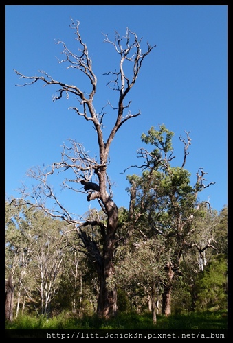 20140420_164516_BlackRange-CoxRiver.JPG