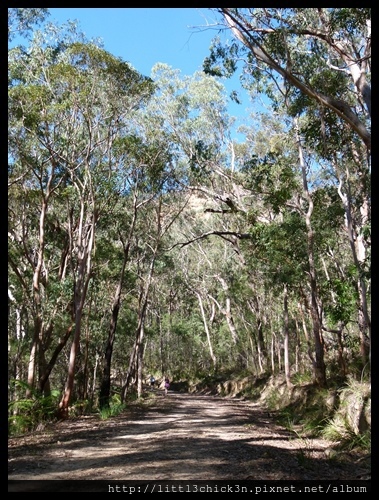 20140421_152259_CoxRiver-Katoomba.JPG