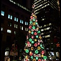 20121129_077_MartinPlaceTreeLighting.JPG